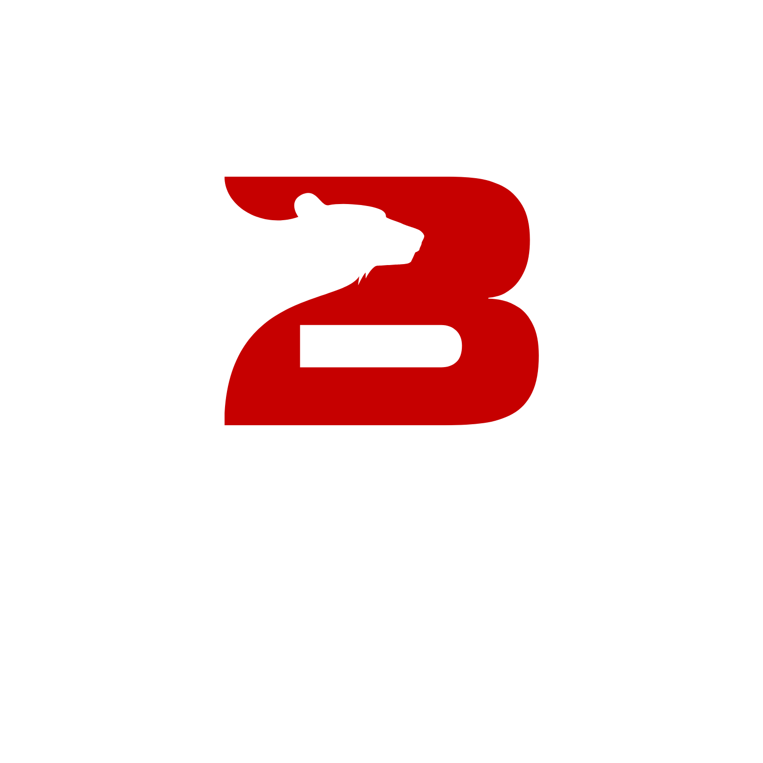 Bear B Marketing Digital